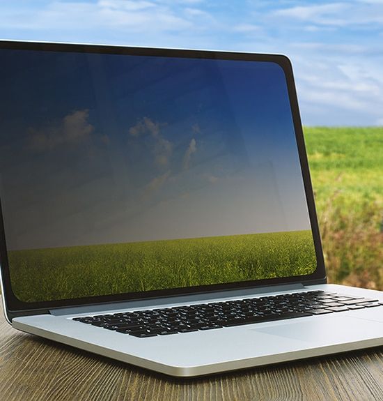 curs directors/es intensiu online contacte