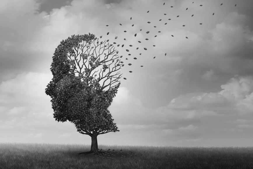 COMPRENSIÓ DE L’ALZHEIMER I L’ATENCIÓ A LES PERSONES QUE EL PATEIXEN